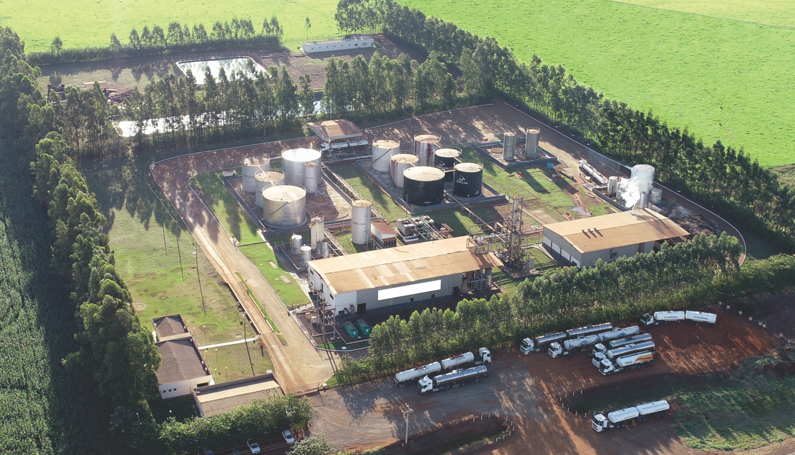 Raízen anuncia venda das usinas Rio Brilhante e Passa Tempo por R$ 1,54 bilhão