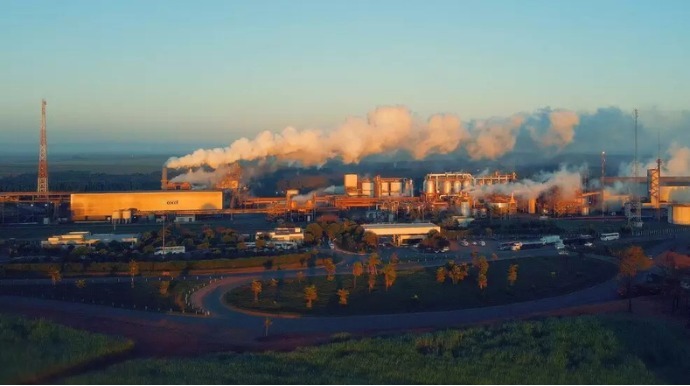 Cocal inicia transição para assumir usinas em Rio Brilhante e expandir atuação no MS – Visão Agro